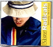 New Radicals - Someday We'll Know